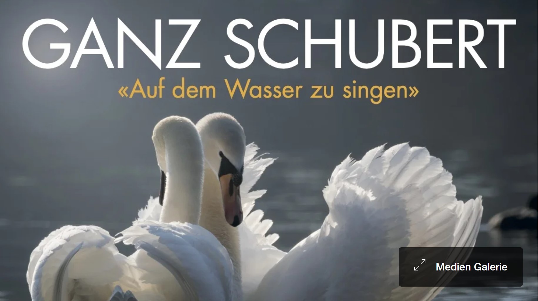 Kammermusik und Lieder von Franz Schubert